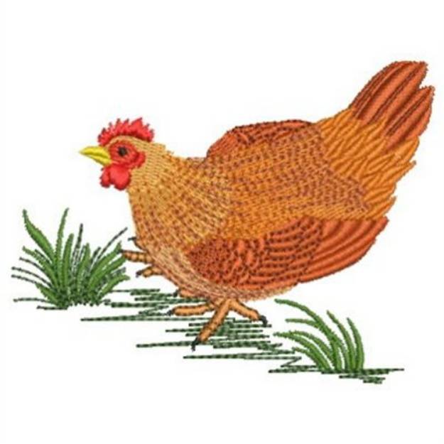 Chicken Machine Embroidery Design | Embroidery Library at ...