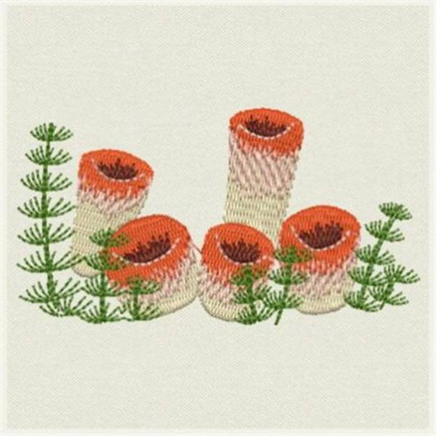 Picture of Coral Machine Embroidery Design