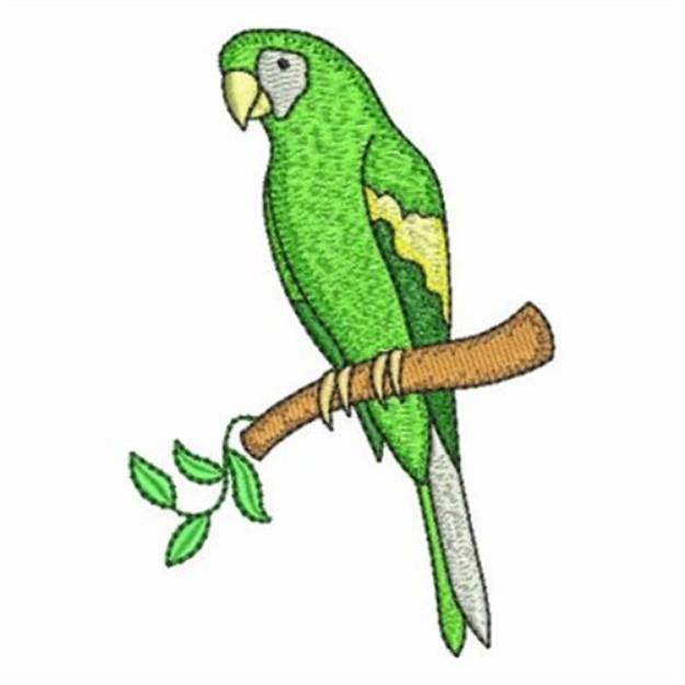 Picture of Fancy Parrot Machine Embroidery Design