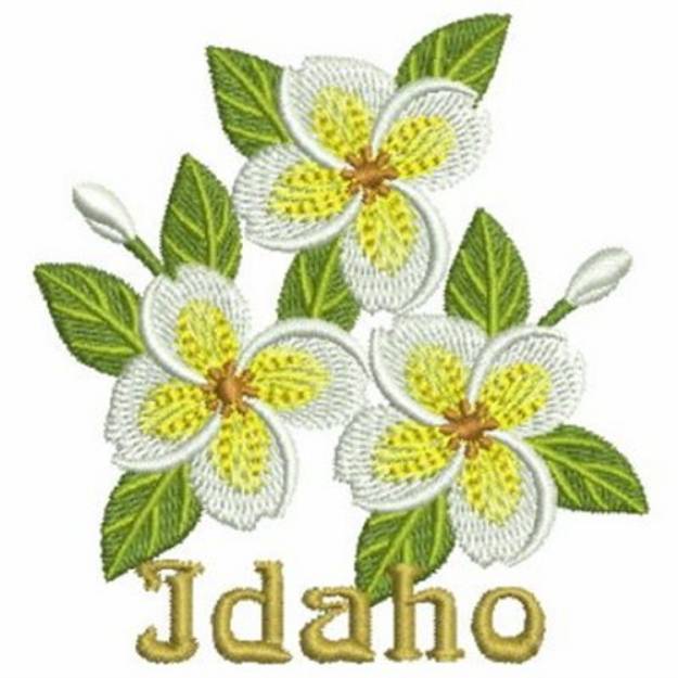 Picture of Idaho State Flower Machine Embroidery Design