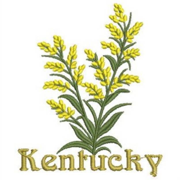 Picture of Kentucky State Flower Machine Embroidery Design
