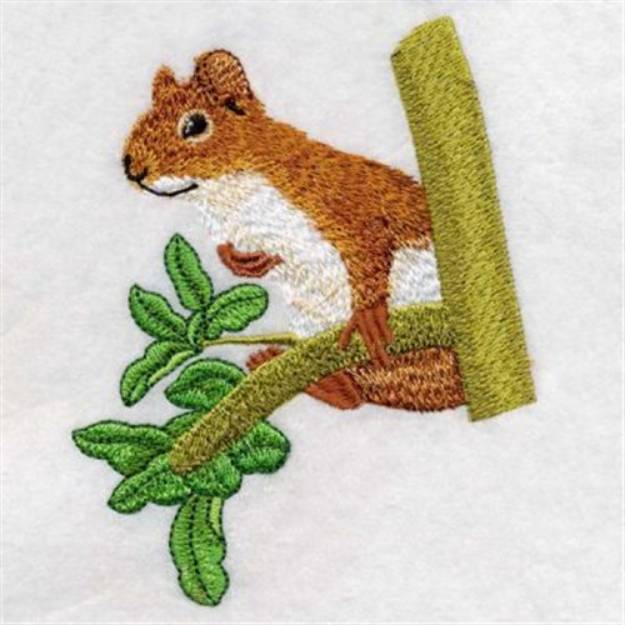 Fluffy Chipmunk Machine Embroidery Design | Embroidery Library at ...