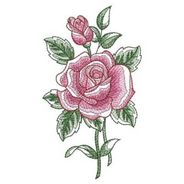 Picture of Sketched Rose Machine Embroidery Design