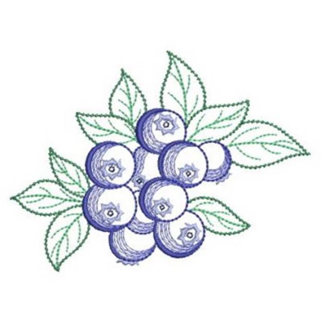 Picture of Blueberry Outline Machine Embroidery Design