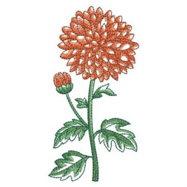 Picture of Chrysanthemum Machine Embroidery Design