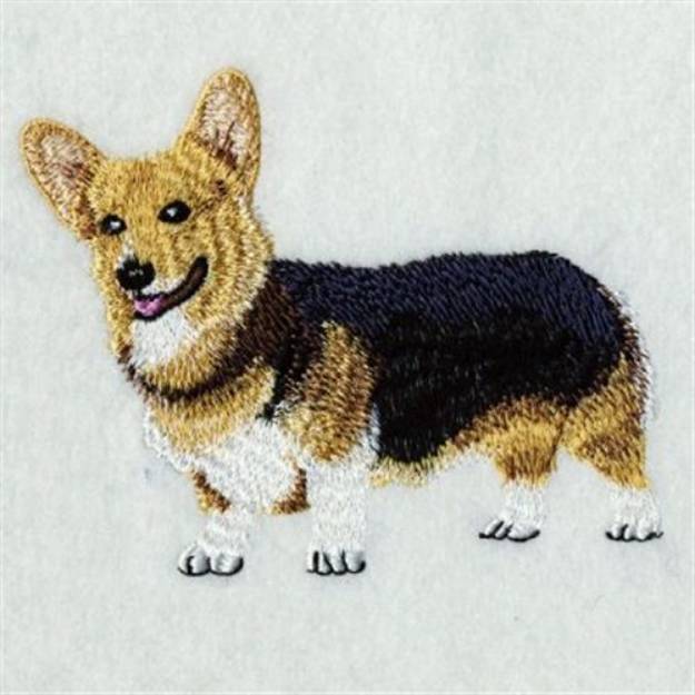 Picture of Realistic Corgi Machine Embroidery Design