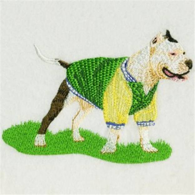 Picture of Realistic Pitbull Machine Embroidery Design