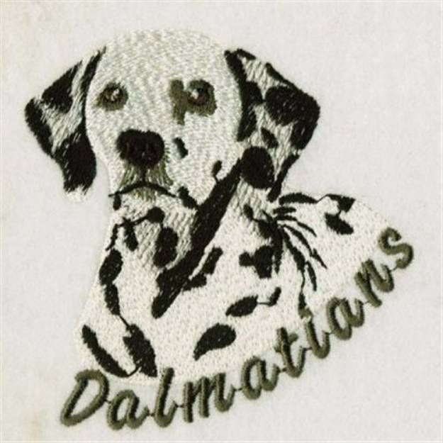 Picture of Realistic Dalmatians Machine Embroidery Design