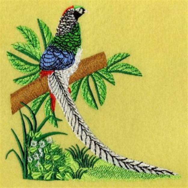 Picture of Realistic Bird Machine Embroidery Design
