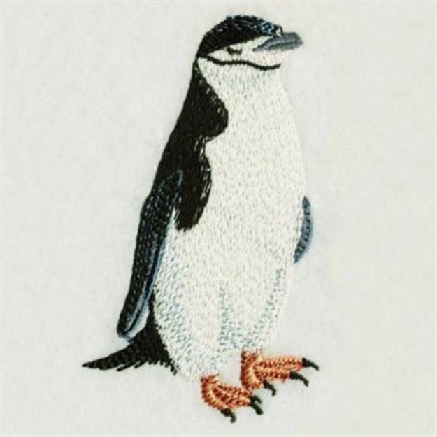 Picture of Realistic Penguin Machine Embroidery Design