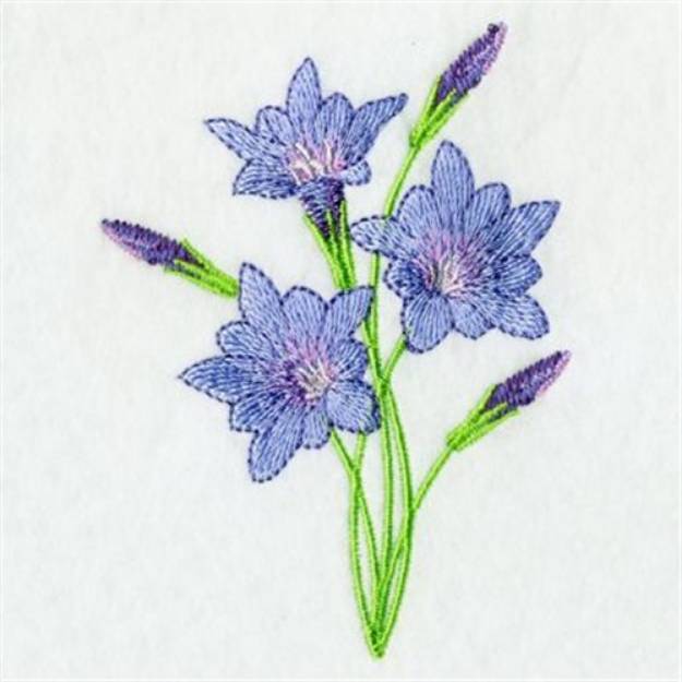 Violet Lilies Machine Embroidery Design | Embroidery Library at ...