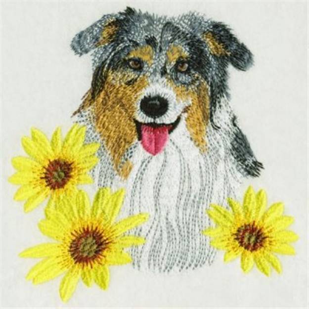 Picture of Border Collie Machine Embroidery Design