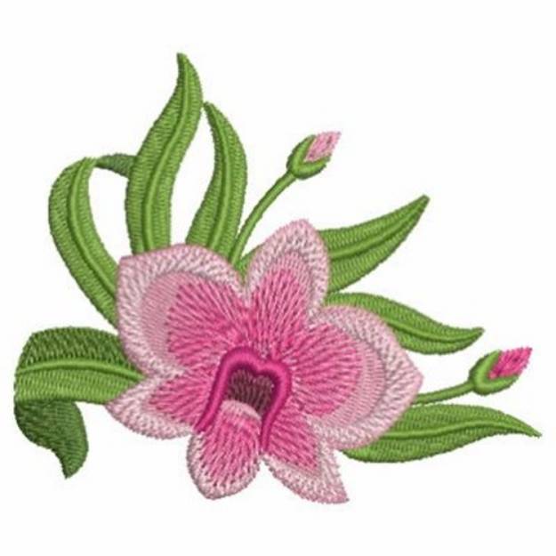 Australia Wildflower Machine Embroidery Design | Embroidery Library at ...