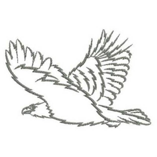 flying eagle outline