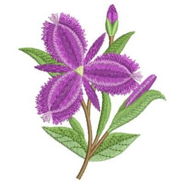 Purple Lily Embroidery Design