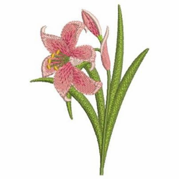 Picture of Pink Lily Machine Embroidery Design