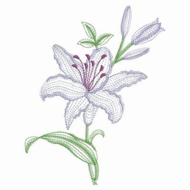 Download Lily Flower Machine Embroidery Design | Cre8iveSkill