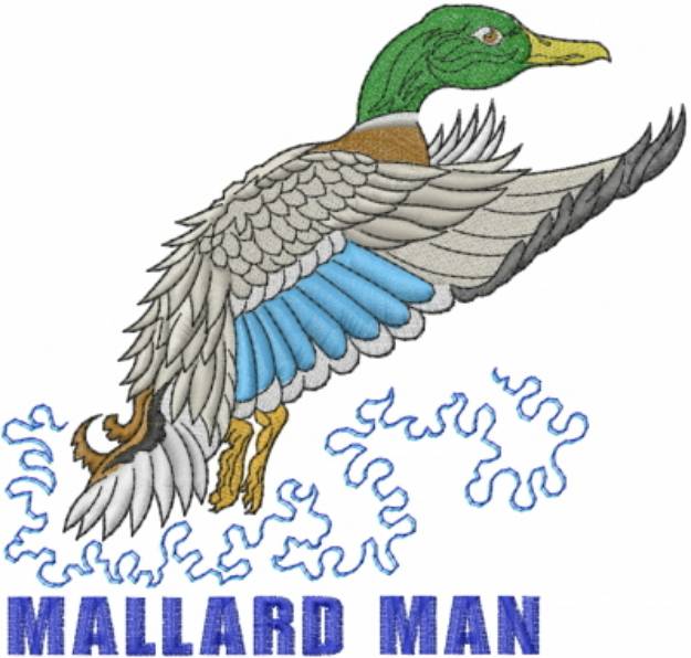 Picture of Mallard Man