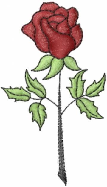 Picture of Red Rose