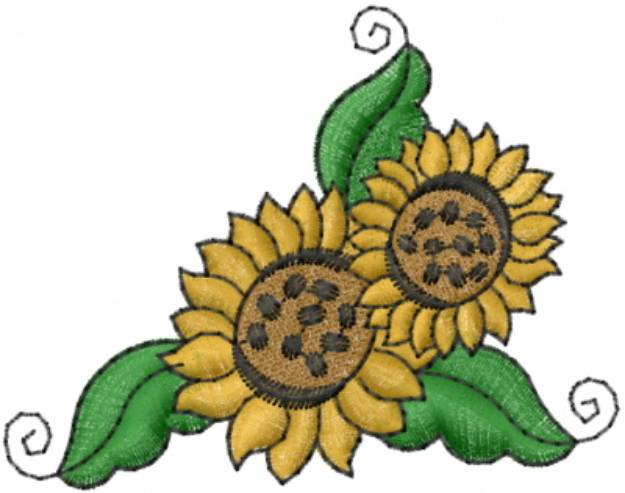 Picture of Sunflowers