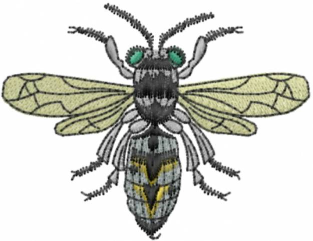 Picture of Wasp