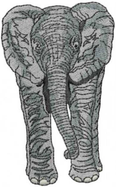 Picture of Elephant