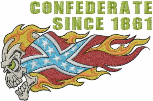 Picture of Confederate Skull