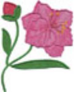 Picture of Gladiolus Applique - Single Machine Embroidery Design