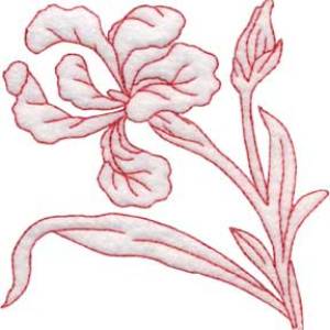 Picture of Iris Redwork - Single Machine Embroidery Design