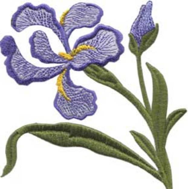 Picture of Iris Filled - Single Machine Embroidery Design