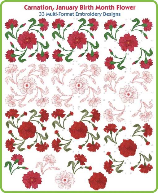 Picture of Carnation January Birth Month Flower (AUS) Embroidery Design Pack