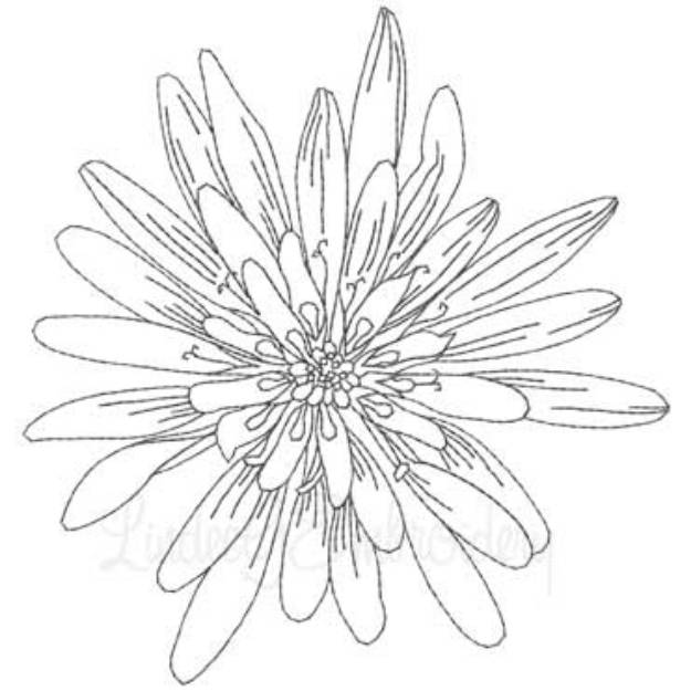 Picture of Spider Mum Machine Embroidery Design