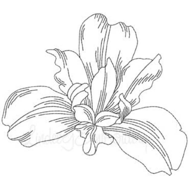 Picture of Siberian Iris Machine Embroidery Design