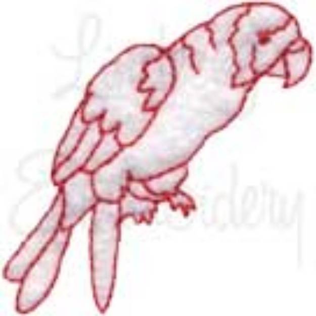 Picture of Parrot Machine Embroidery Design