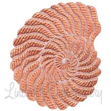Seashell textured Machine Embroidery Design