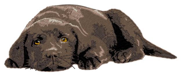 Picture of Sleepy Lab Machine Embroidery Design