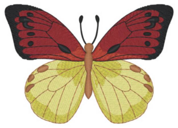 Picture of Butterfly 2 Machine Embroidery Design