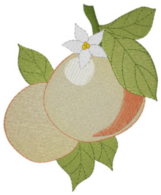 Picture of Oranges Machine Embroidery Design