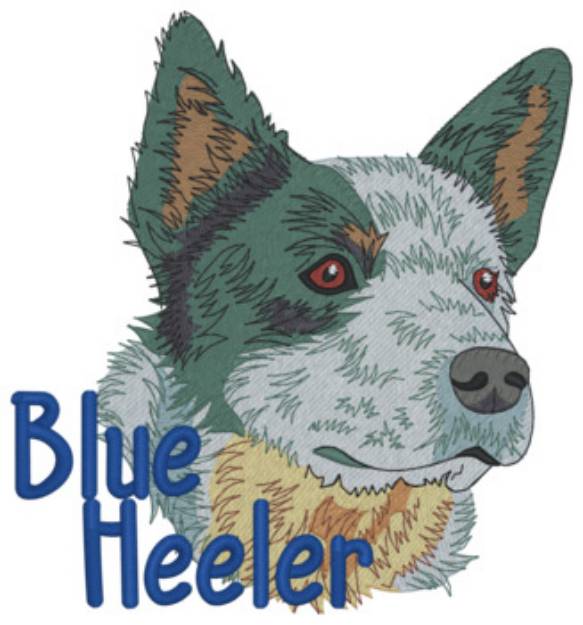 Picture of Blue Heeler Machine Embroidery Design