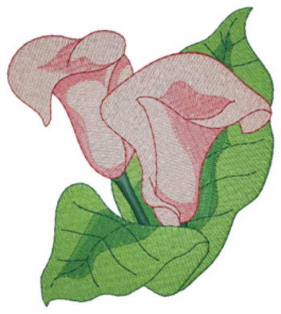 Picture of Calla Lily Machine Embroidery Design