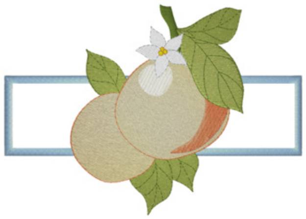 Picture of Oranges Applique Machine Embroidery Design