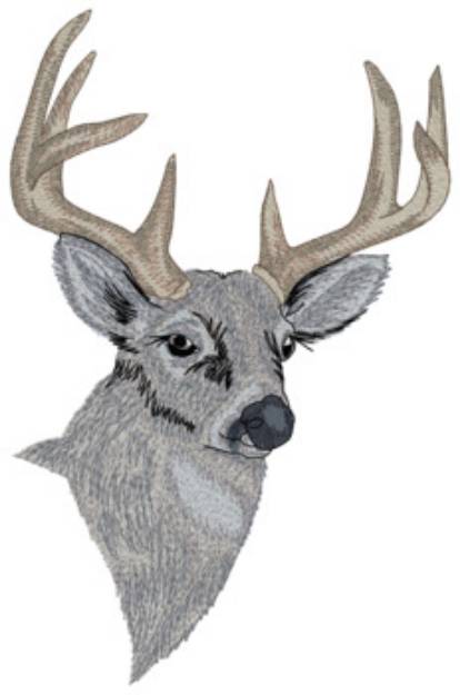 Picture of Whitetail Deer Machine Embroidery Design