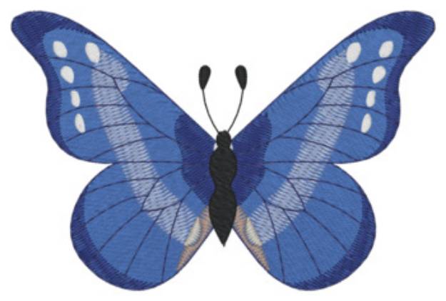 Picture of Blue Butterfly Machine Embroidery Design