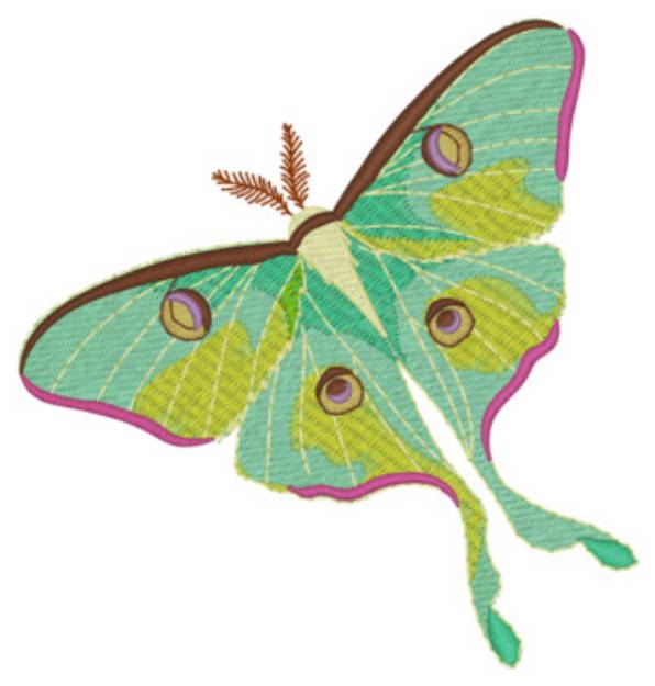 Picture of Luna Moth Machine Embroidery Design