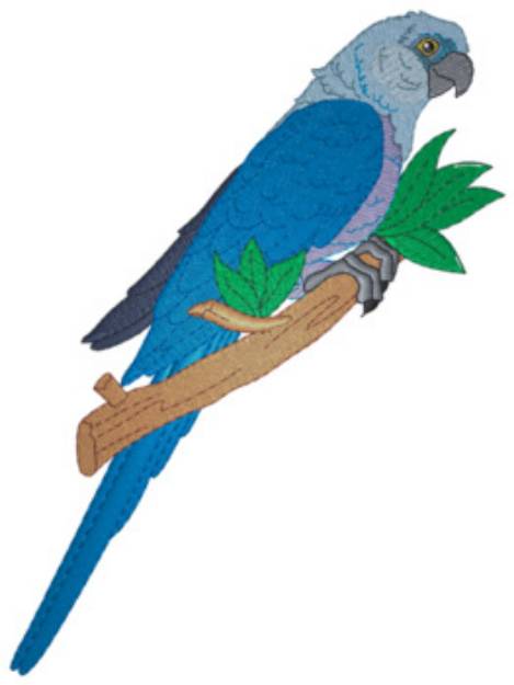 Picture of Spix Macaw Machine Embroidery Design