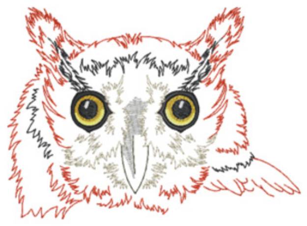 Picture of Screech Owl Head Machine Embroidery Design