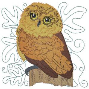 Picture of Elf Owl Machine Embroidery Design