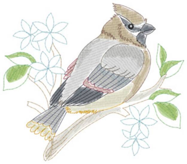 Picture of Cedar Waxwing Machine Embroidery Design