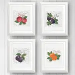 Picture of Fruit delight Embroidery Project Pack