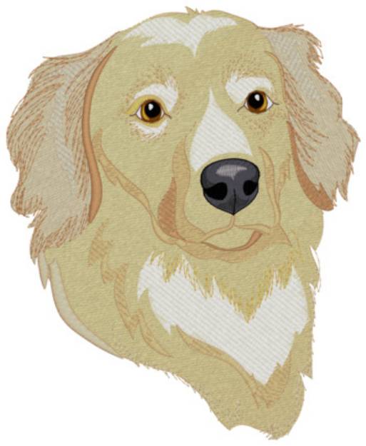 Picture of Golden Retriever Machine Embroidery Design